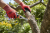 d32863001ce9afe7b98e338039d659bd.png