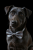 1d797fac30980363479ae40af9d3751a.png