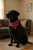 ba5a243c03f5f0c2d06517bfc3abb9bb.png