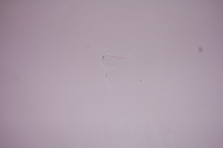 DSC_0286.JPG