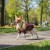 1c42ad604c2592914e5925a1242baddb.jpg
