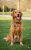033fc1a177e7148c76a3b20019a38ebf.png