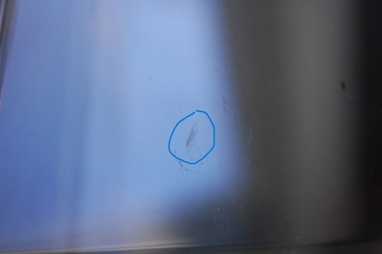 DSC_0330.JPG