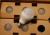 DSC_0479.JPG