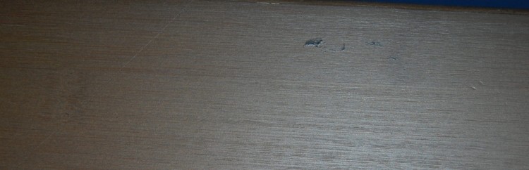 DSC_0842.JPG